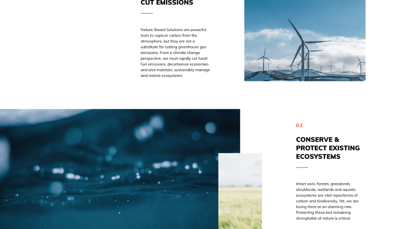 Together With Nature Website Detail